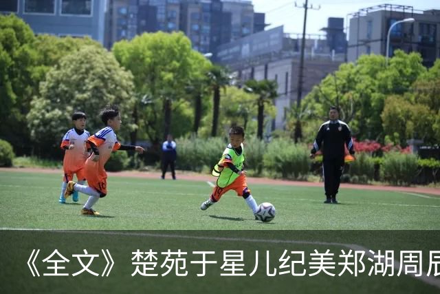 《全文》楚苑于星儿纪美郑湖周辰《失物上报守则》